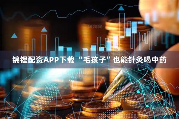 锦锂配资APP下载 “毛孩子”也能针灸喝中药